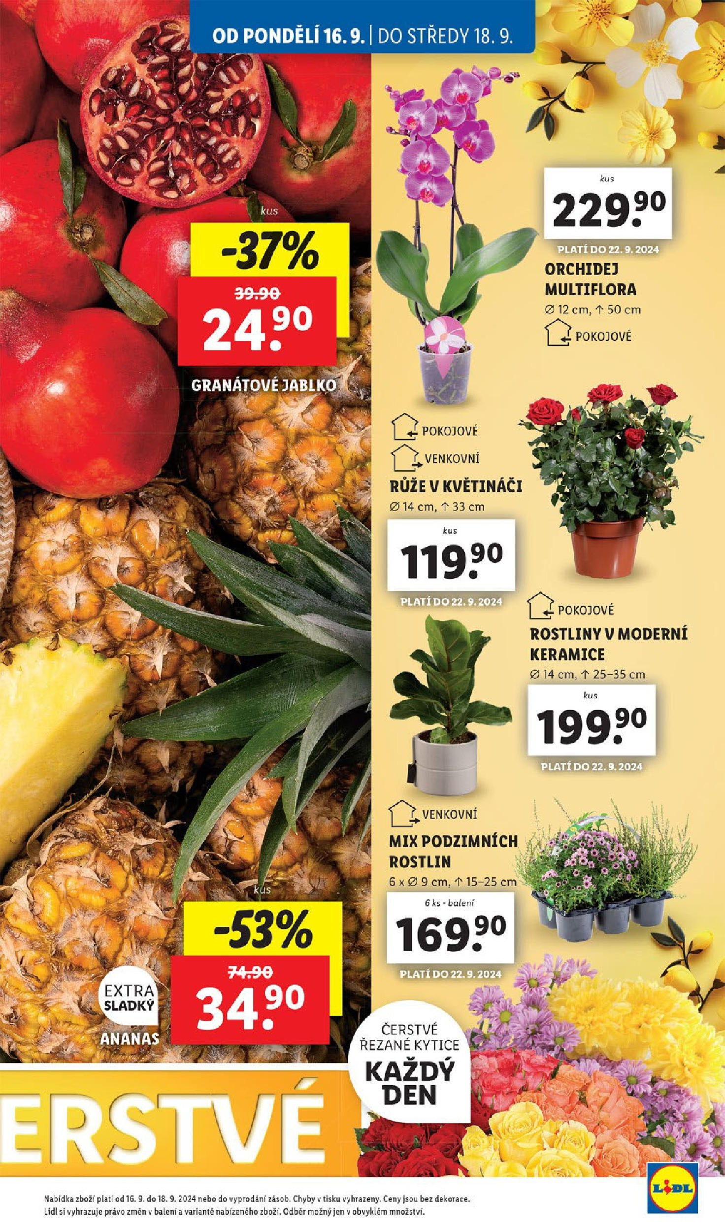 Lidl leták od 16.09.2024 - Nový akční leták | Strana: 11 | Produkty: Granátové jablko, Ananas, Rostliny, Kytice