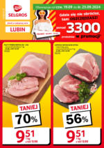 Specjalna oferta Lubin Selgros – do 25.09.2024