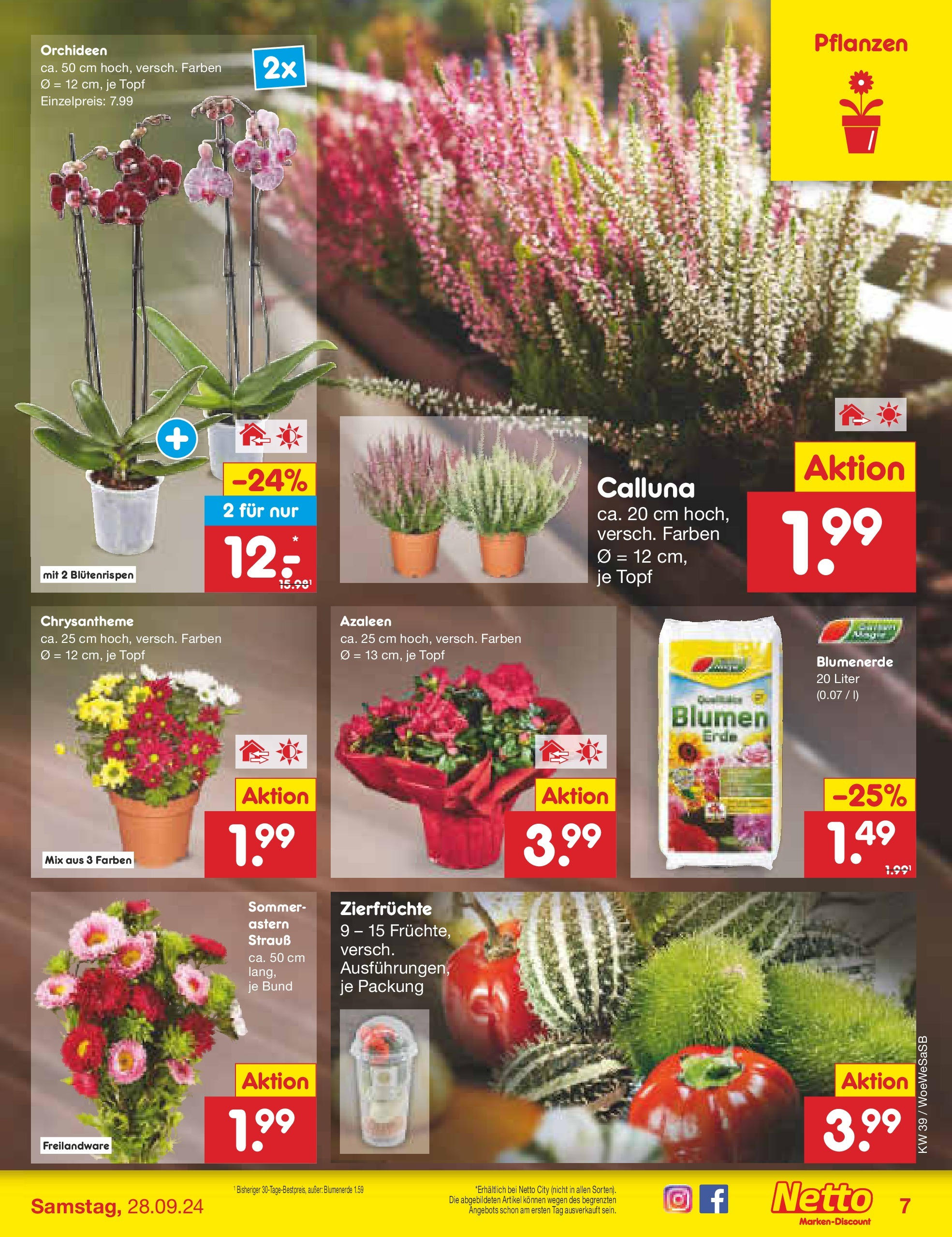 Netto Marken-Discount - Saarland (ab 23.09.2024) » Angebote | Seite: 9 | Produkte: Blumen, Blumenerde