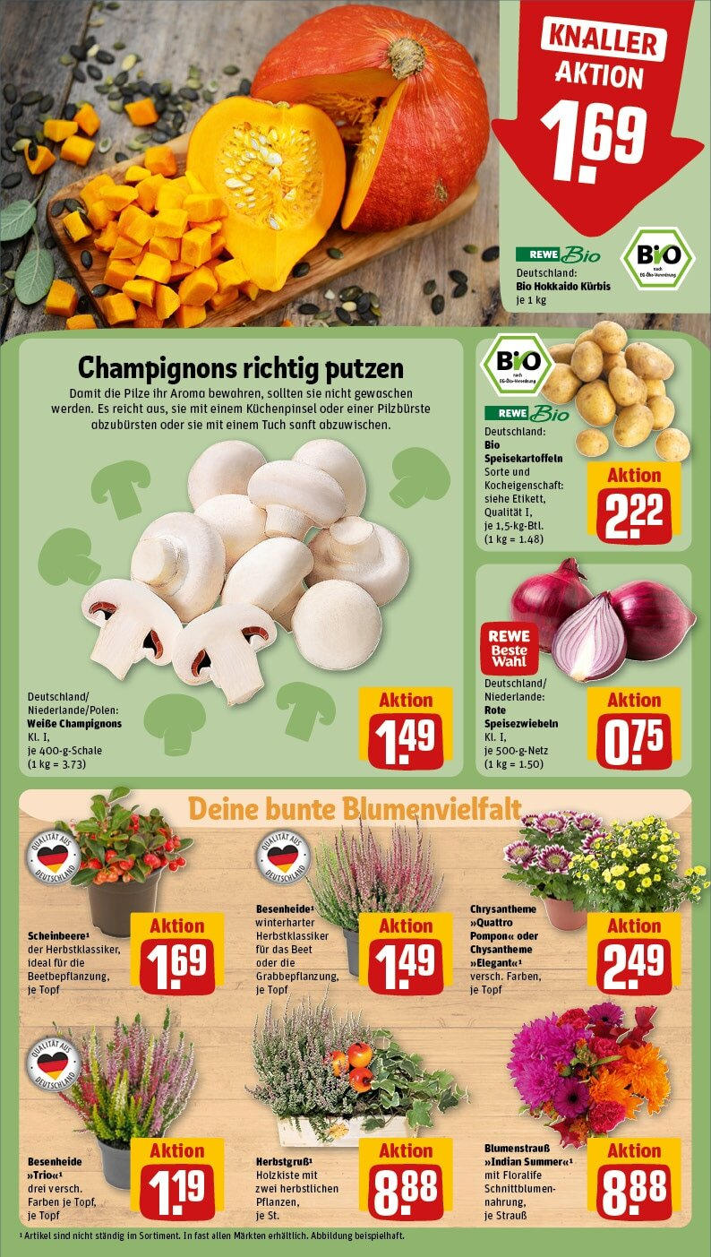 Rewe - Hildesheim / Himmelsthür, Schleitweg/ Runde Wiese 4 (ab 30.09.2024) zum Blättern » Angebote | Seite: 11 | Produkte: Champignons, Kürbis