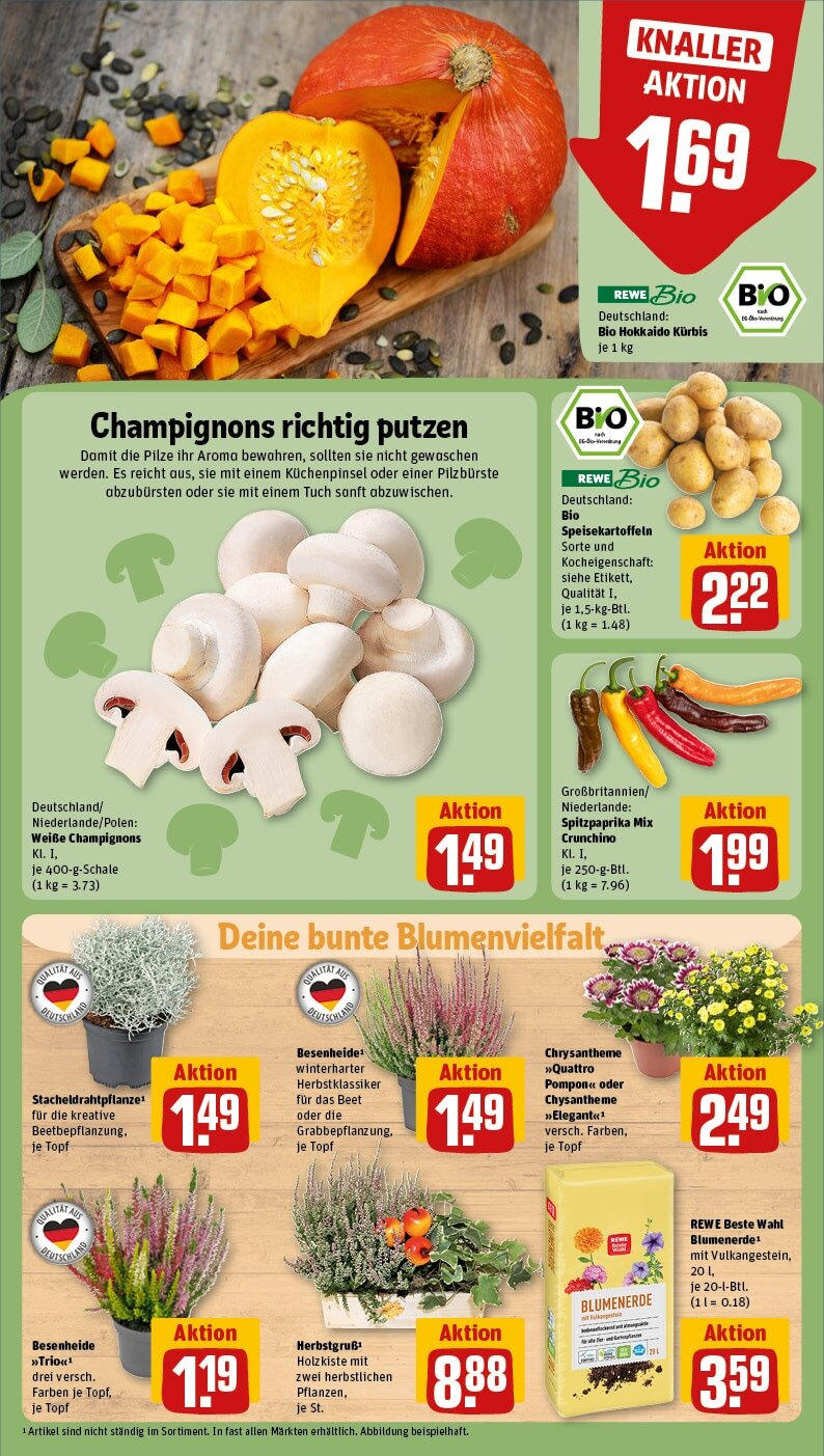 Rewe - Berlin / Pankow, Neumannstraße 13 (ab 30.09.2024) zum Blättern » Angebote | Seite: 11 | Produkte: Blumenerde, Champignons, Kürbis