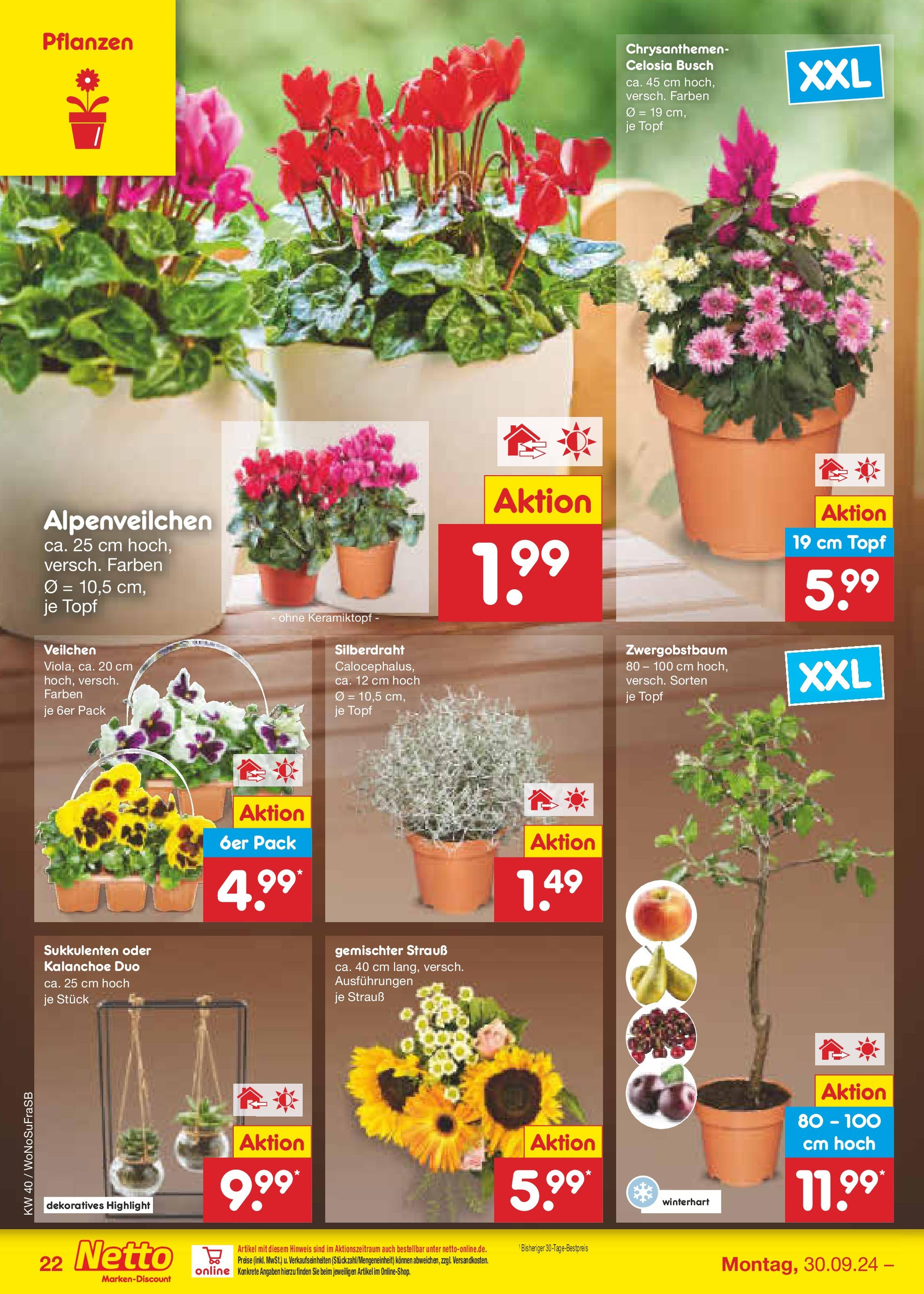 Netto Marken-Discount - Hessen (ab 30.09.2024) » Angebote | Seite: 27