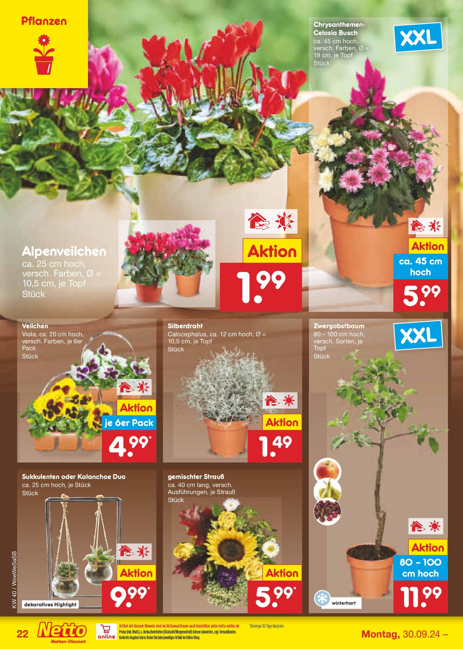 Netto Marken-Discount - Saarland (ab 30.09.2024) » Angebote | Seite: 27