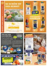 Himmel und Erde: So schön ist der Herbst