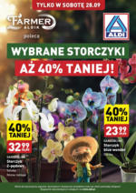 Aldi Ulotka Storczyki_ważna do 28.09 Aldi – do 28.09.2024