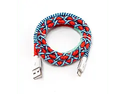 ISY Datenkabel Lightning, 1 Meter, Mehrfarbig (IUC-4100-RB-L)