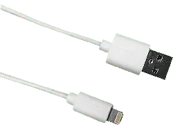 ISY Lightning-Kabel, 1m (IUC 2001)