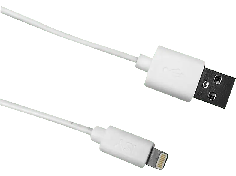 ISY Lightning-Kabel, 1m (IUC 2001)