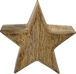 Dekorieren & Einrichten Holzstern, braun (10 cm)