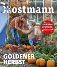 Blumen Ostmann - Goldener Herbst