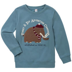 Kinder Sweatshirt mit Frottee-Applikation (Nur online)