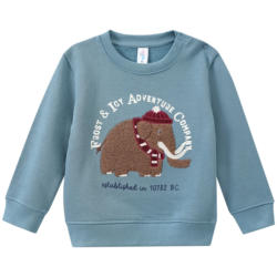 Baby Sweatshirt mit Frottee-Applikation (Nur online)