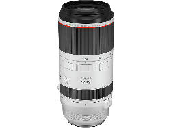 Canon Objektiv RF 100-500mm f4.5-7.1L IS USM