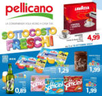 Pellicano Sottocosto freschi - al 16.10.2024