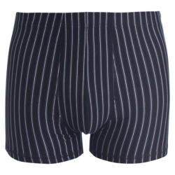 Herren Retroshorts gestreift