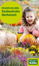 Pflanzen-Kölle: Farbenfrohe Herbstzeit