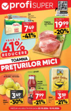 Profi Catalog Profi până în data de 15.10.2024 - până la 15-10-24