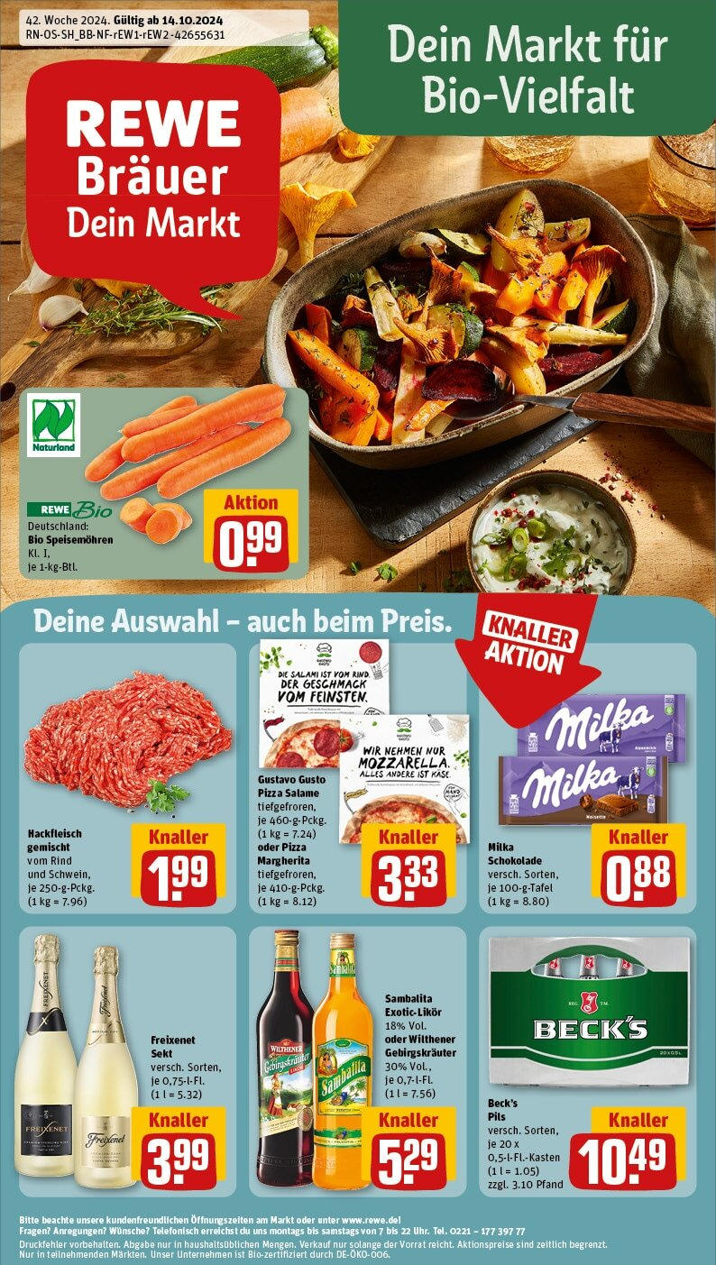 REWE Prospekt ab 14.10.2024 nächste Woche - Neustadt, Dresdner Straße 5