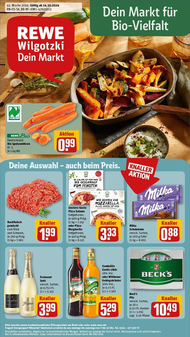 REWE Prospekt ab 14.10.2024 nächste Woche - Magdeburg / Brückfeld, Friedrich-Ebert-Straße 7