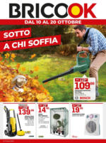 Brico OK Sotto a chi soffia - al 20.10.2024