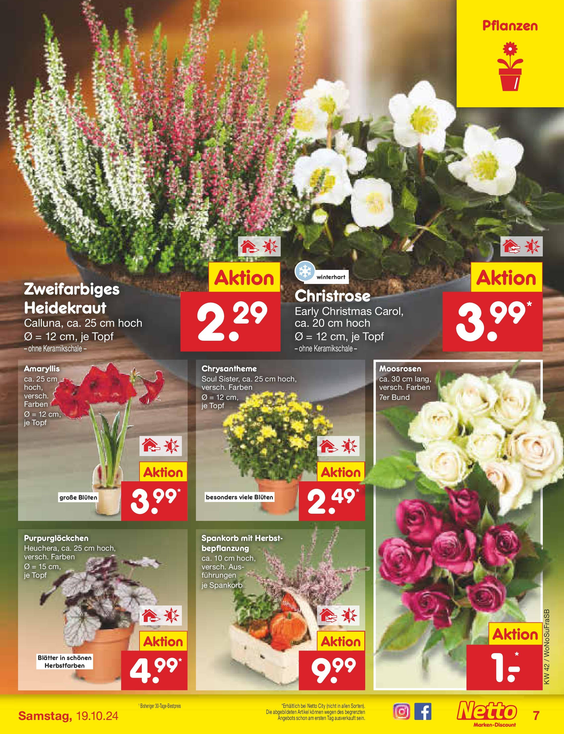 Netto Marken-Discount - Hessen (ab 14.10.2024) » Angebote | Seite: 7