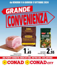 Grande convenienza