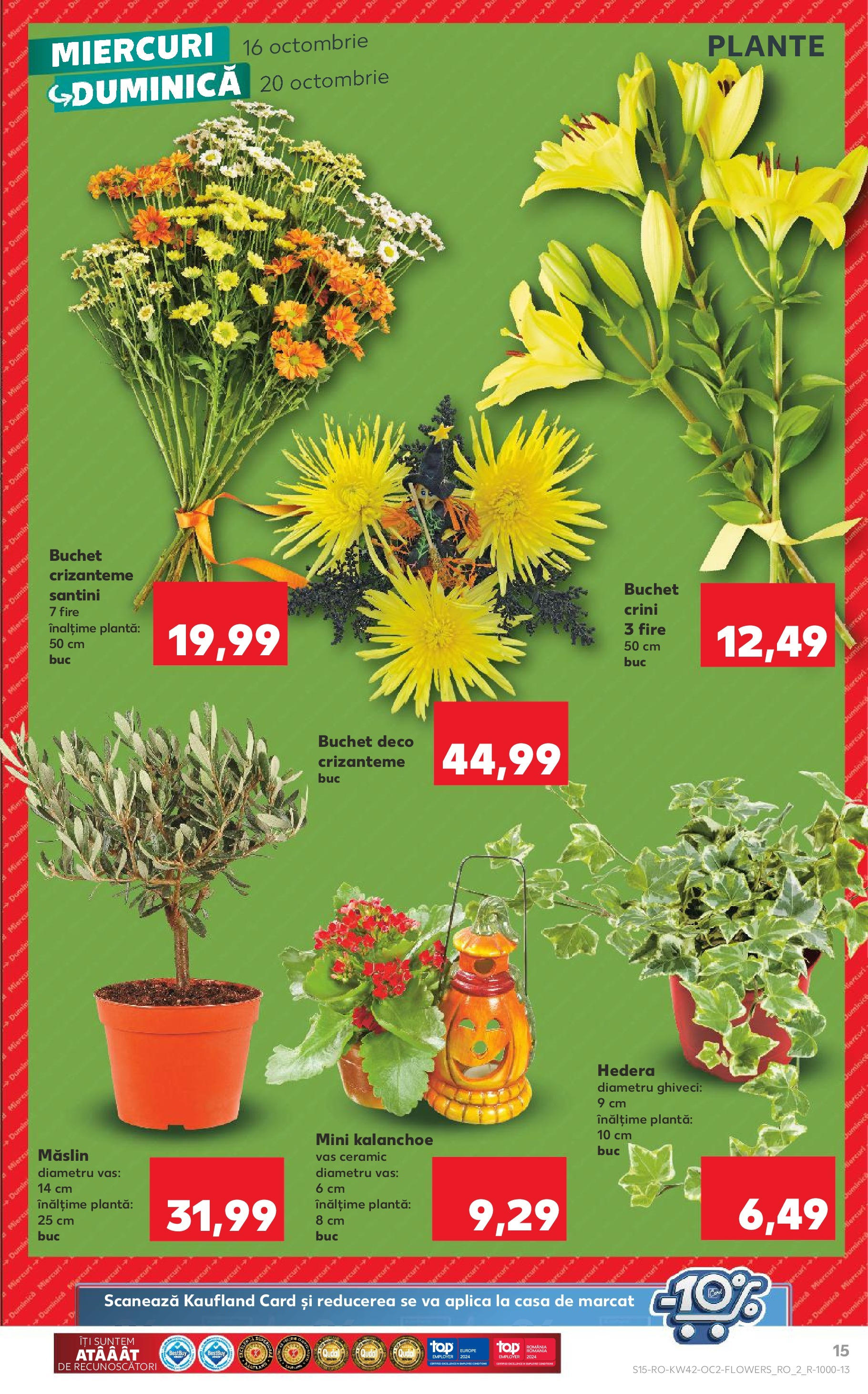 Catalog Kaufland - Sibiu 16.10.2024 - Revista si Oferta | Pagină: 15 | Produse: Ghiveci