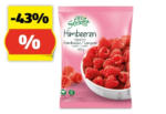 HOFER ALL SEASONS Himbeeren, 500 g