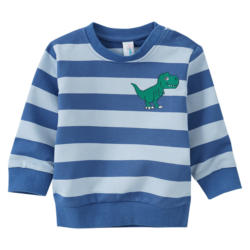 Baby Sweatshirt mit Blockstreifen (Nur online)