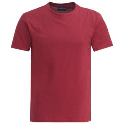 Herren T-Shirt im Basic-Look (Nur online)