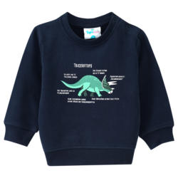 Baby Sweatshirt mit Triceratops (Nur online)