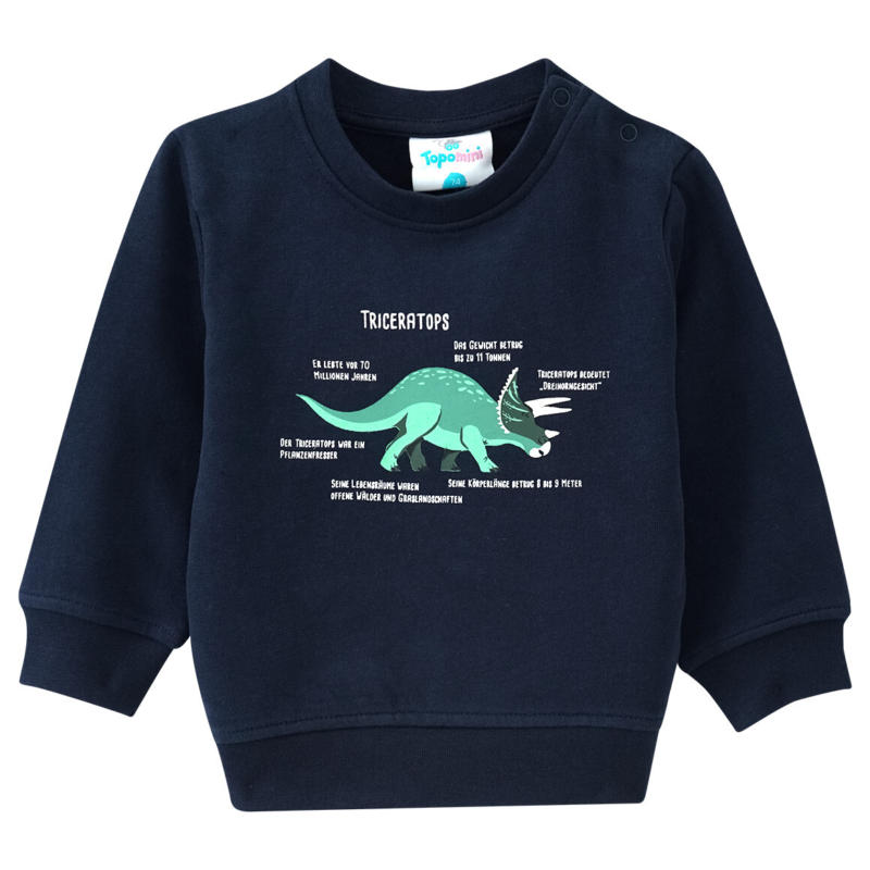 Baby Sweatshirt mit Triceratops (Nur online)