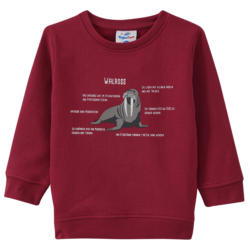 Kinder Sweatshirt mit Walross-Motiv (Nur online)