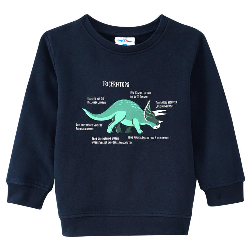 Kinder Sweatshirt mit Triceratops-Motiv (Nur online)