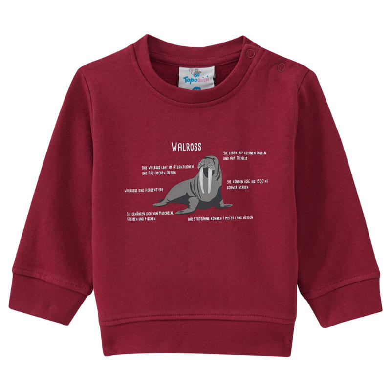 Baby Sweatshirt mit Walross-Motiv (Nur online)