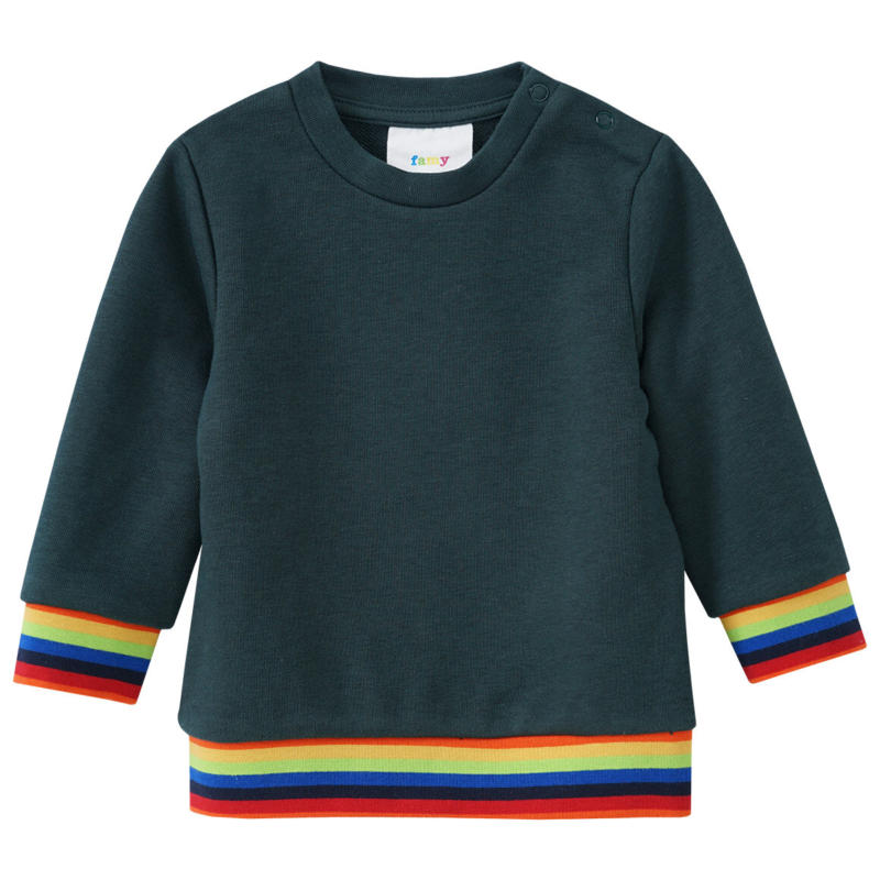 Baby Sweatshirt mit bunten Akzenten (Nur online)