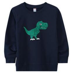 Kinder Sweatshirt mit Dino-Applikation (Nur online)