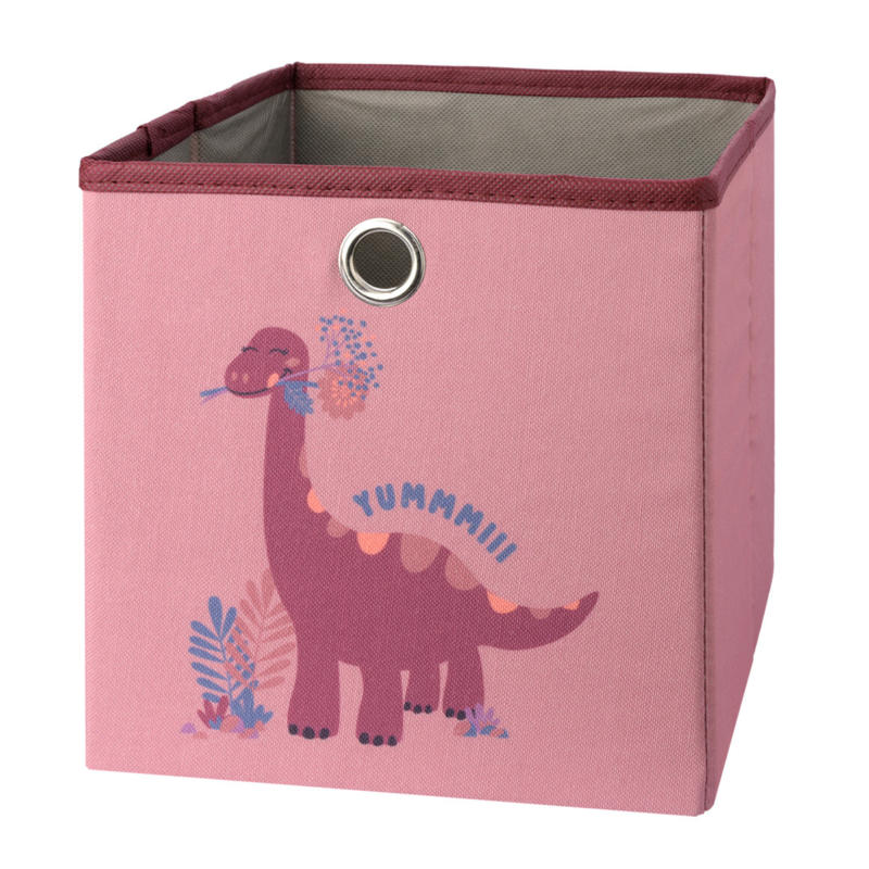 Kleine Aufbewahrungsbox mit Dino-Motiv (Nur online)