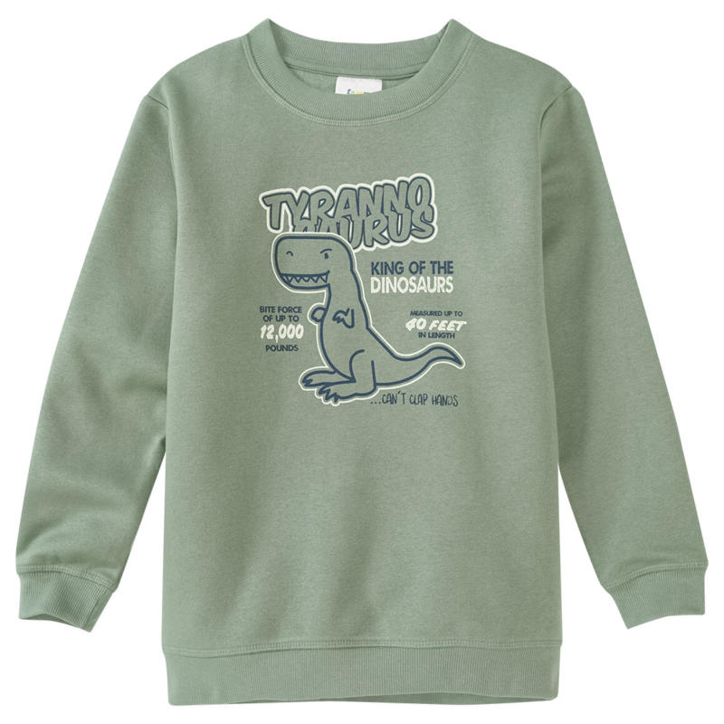 Jungen Sweatshirt mit großem Print (Nur online)