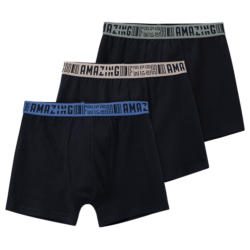 3 Jungen Boxer mit Webbund