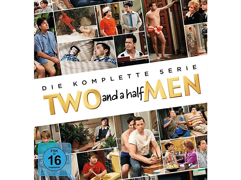 Two and a Half Men: Komplette Serie: Staffel 1-12 [DVD]