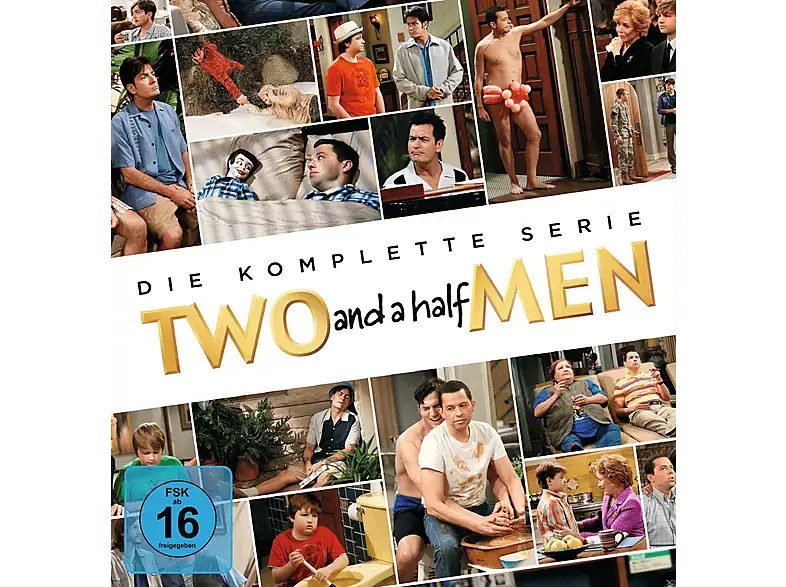Two and a Half Men: Komplette Serie: Staffel 1-12 [DVD]
