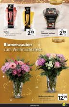 Lidl Österreich Lidl: Deluxe Magazin - bis 24.12.2024