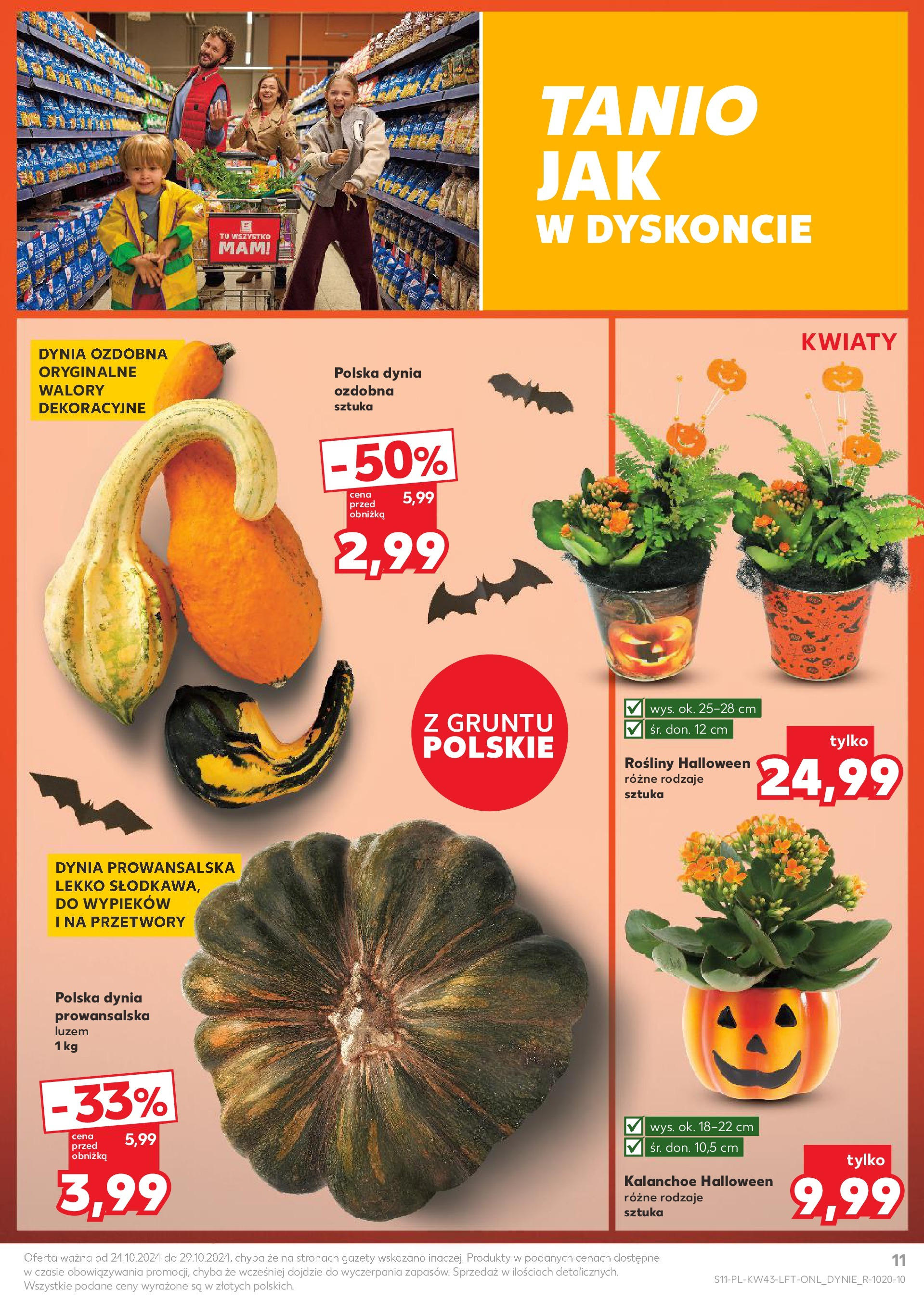 Kaufland gazetka od 24.10.2024 - od jutra PDF | Strona: 11 | Produkty: Dynia, Rosliny, Kalanchoe, Kwiaty