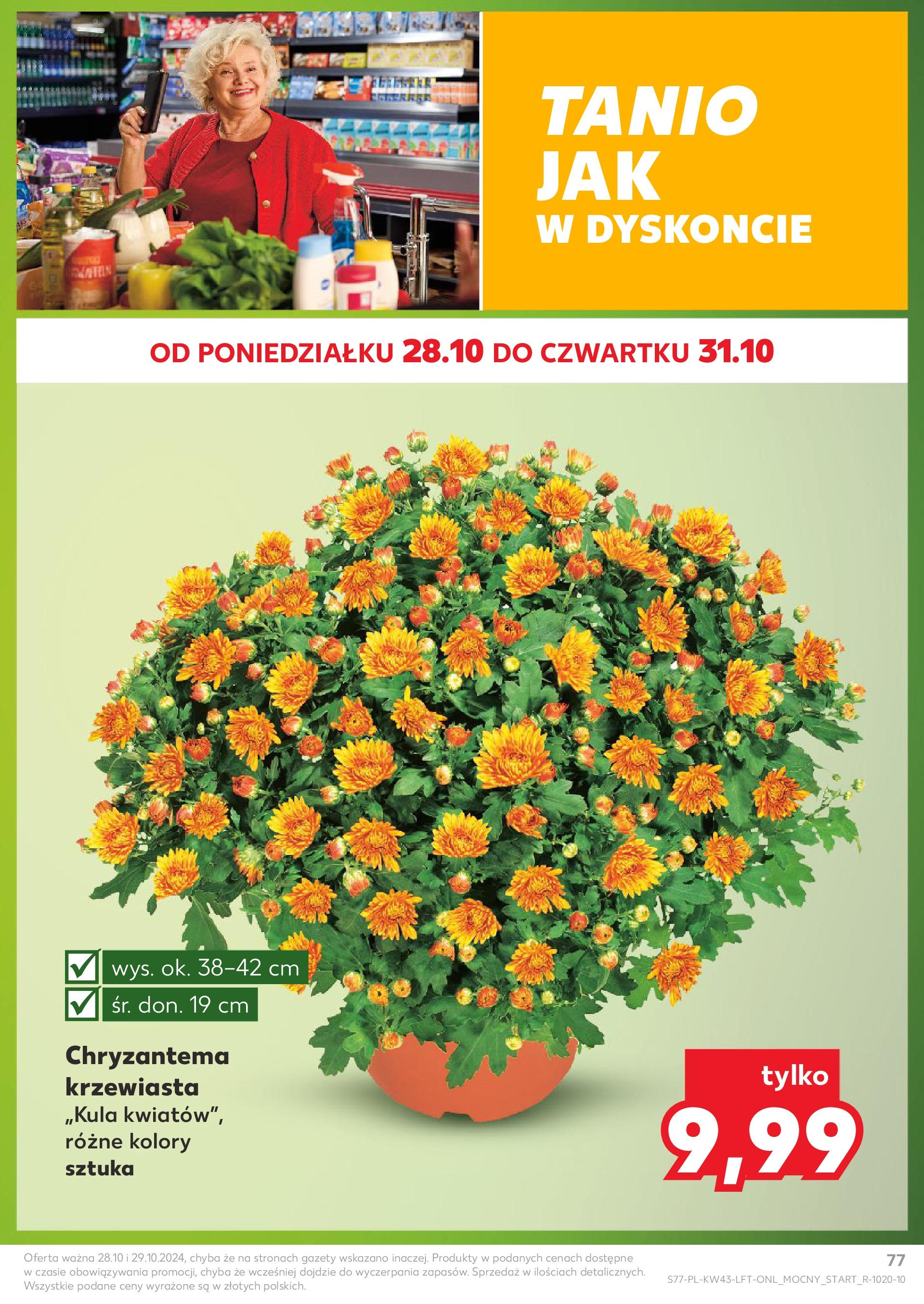 Kaufland gazetka od 24.10.2024 - od jutra PDF | Strona: 77