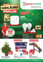 Hagebau Hagebaumarkt - Jubiläumsknaller - bis 01.11.2024