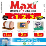 Deco Maxistore Tanti prodotti a 1, 2, 3 euro - al 06.11.2024