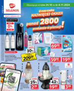 Oferta Przemysłowa Selgros – do 06.11.2024