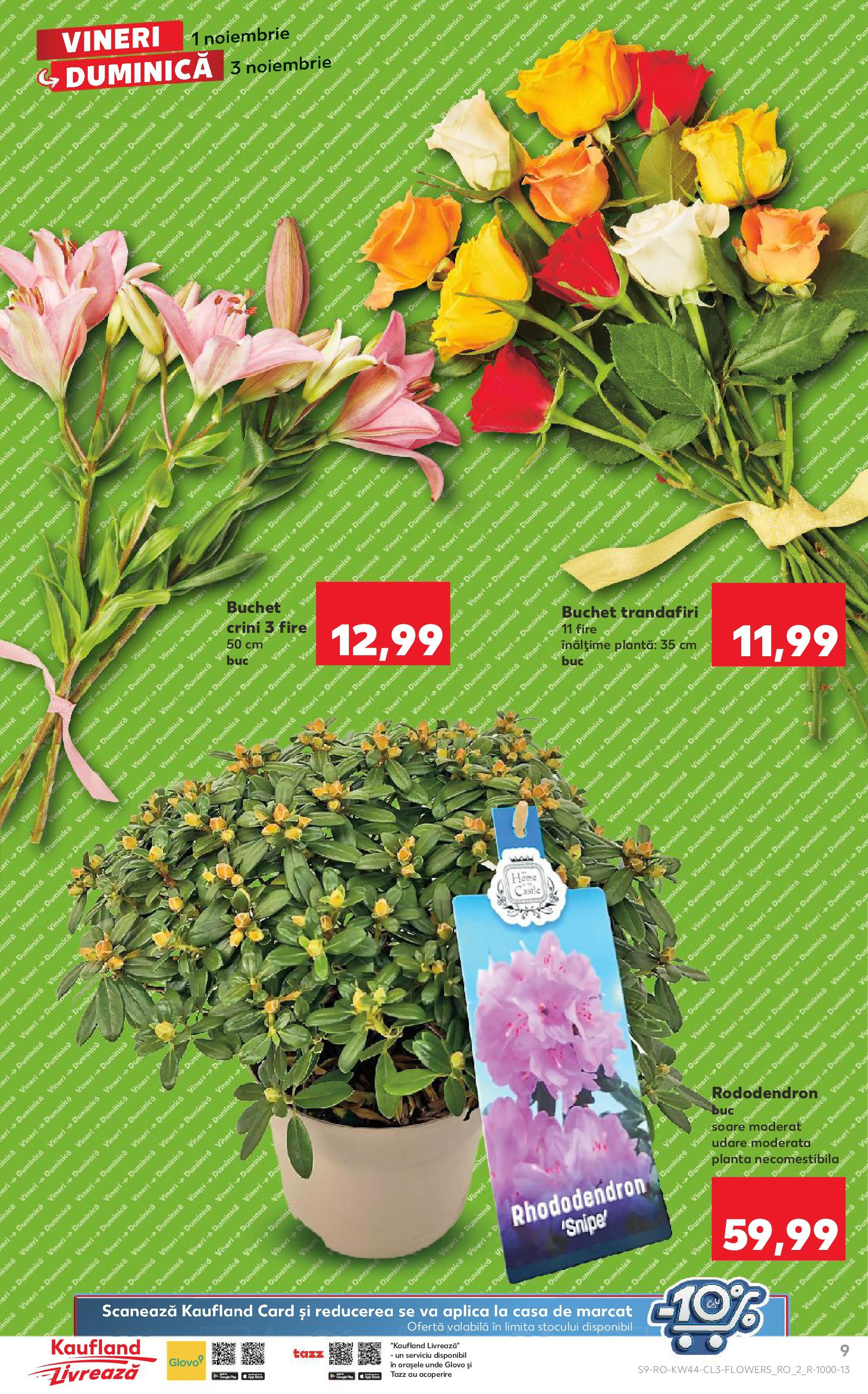 Catalog Kaufland - Baia Mare 01.11.2024 - Revista si Oferta | Pagină: 9 | Produse: Trandafir, Vin