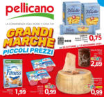 Pellicano Grandi marche piccoli prezzi - al 13.11.2024